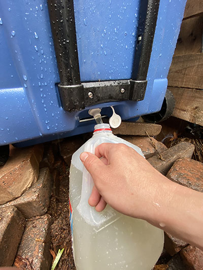 collecting rain water in a jug