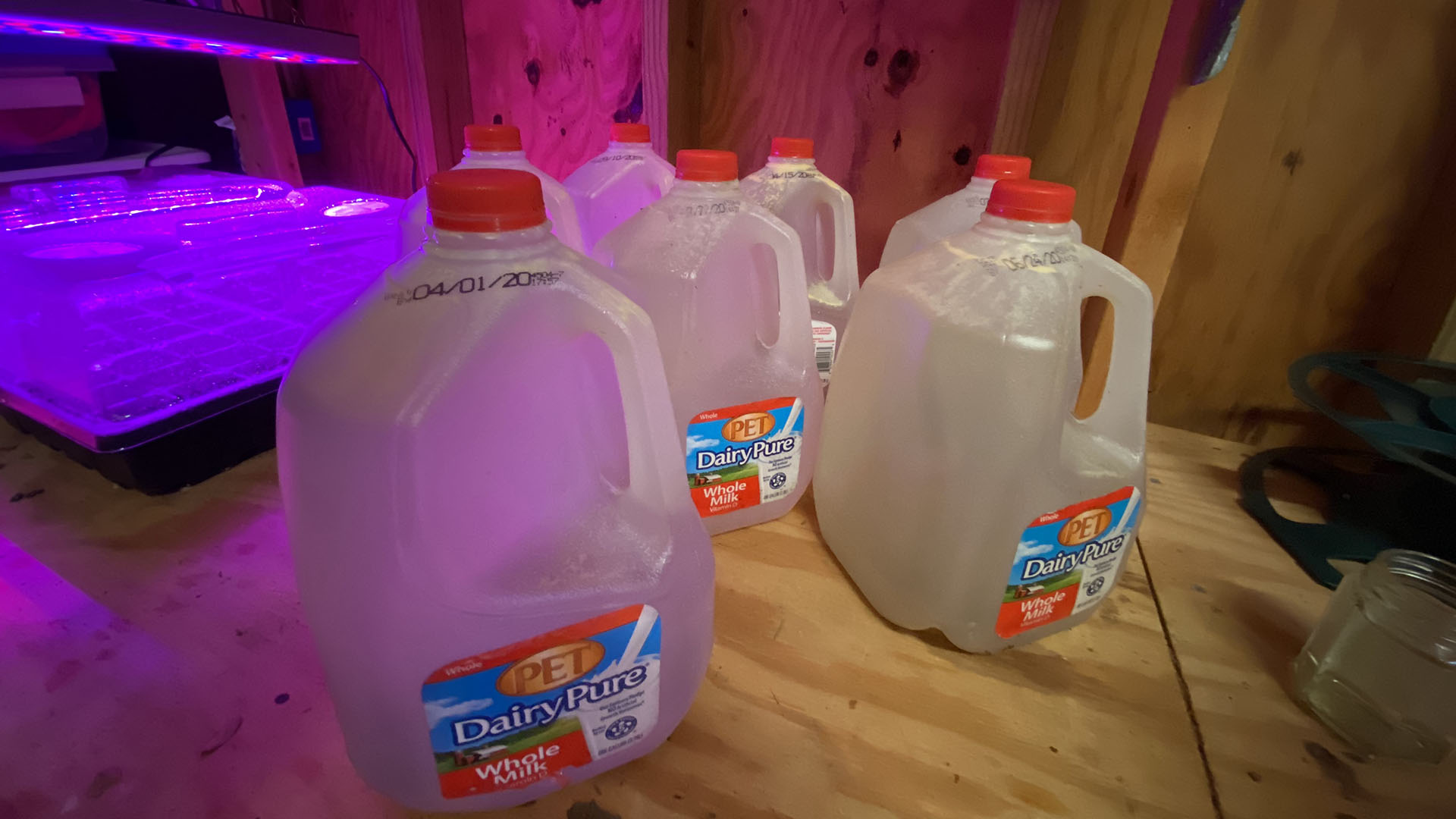 Water jugs in a shed